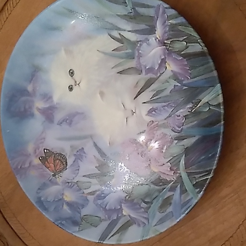 Lily  Chang signed garden discovery plate